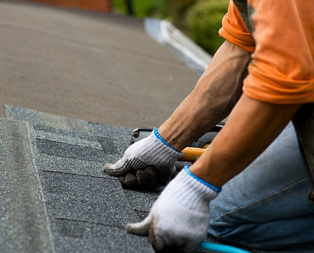 Best Roof Gutter Cleaning  in Cascade Valley, WA